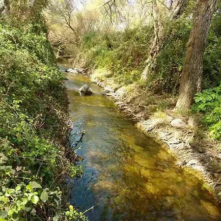 Theano Skarfos River Park *