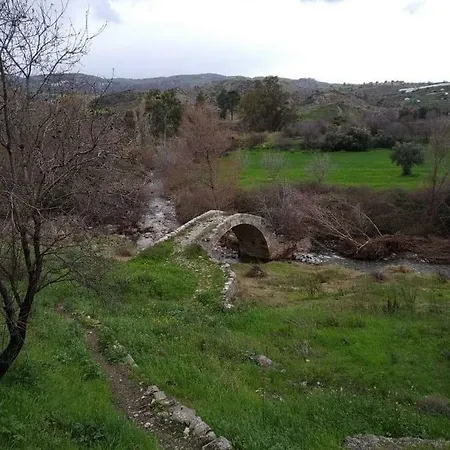 Theano Skarfos River Park Paphos